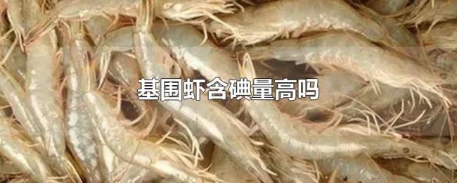 基围虾含碘量高吗 基围虾含碘量高吗