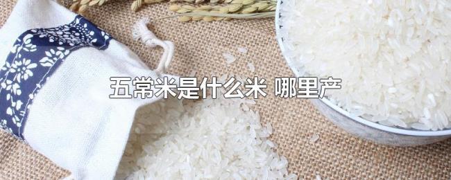 五常米是什么米(哪里产) 五常米是什么米(哪里产)