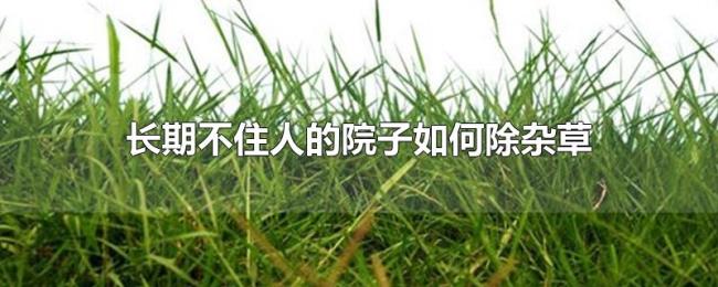 长期不住人的院子如何除杂草 长期不住人的院子如何除杂草
