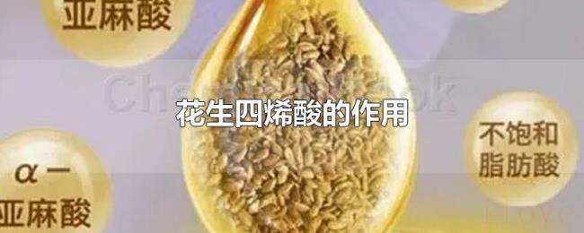 花生四烯酸的作用