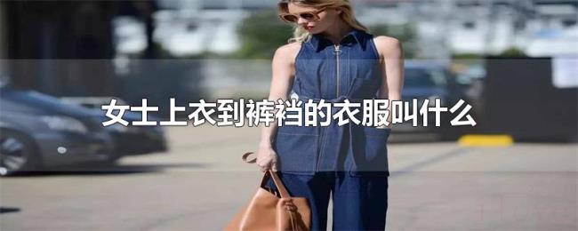 女士上衣到裤裆的衣服叫什么 女士上衣到裤裆的衣服叫什么