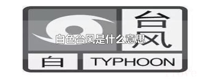 白色台风是什么意思 白色台风是什么意思