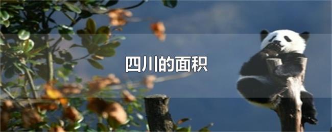 四川的面积 四川的面积