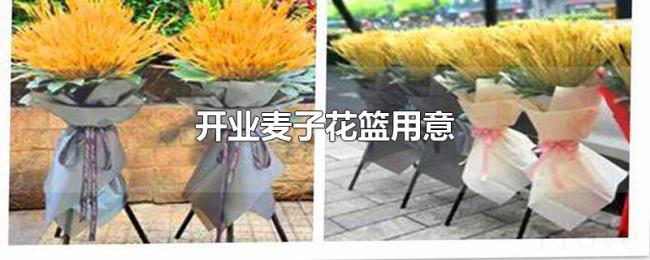 开业麦子花篮用意 开业麦子花篮用意