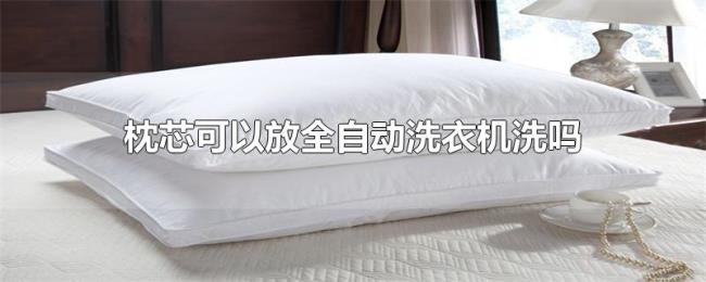 枕芯可以放全自动洗衣机洗吗 枕芯可以放全自动洗衣机洗吗