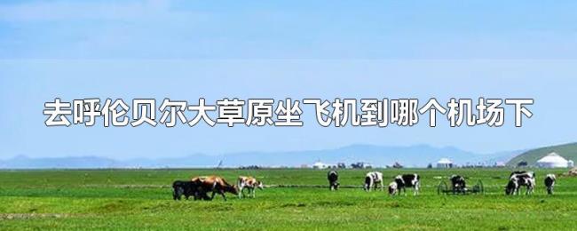 去呼伦贝尔大草原坐飞机到哪个机场下