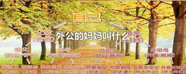 外公的妈妈叫什么 外公的妈妈叫什么