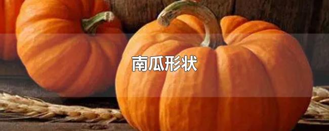 南瓜形状 南瓜形状