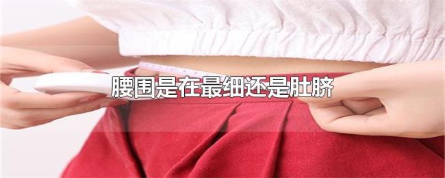 腰围是在最细还是肚脐