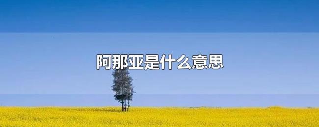 阿那亚是什么意思 阿那亚是什么意思