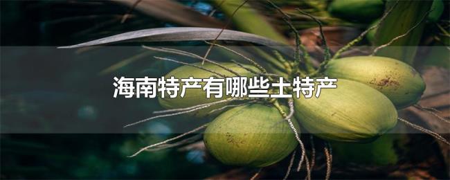 海南特产有哪些土特产