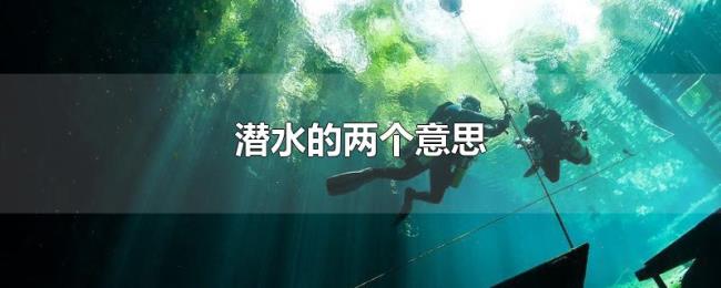 潜水的两个意思 潜水的两个意思