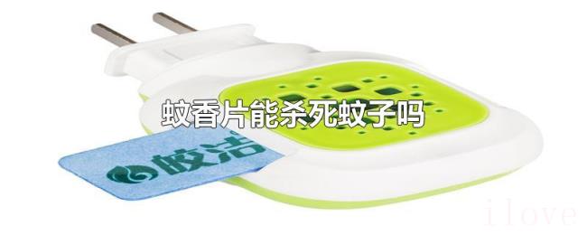 蚊香片能杀死蚊子吗