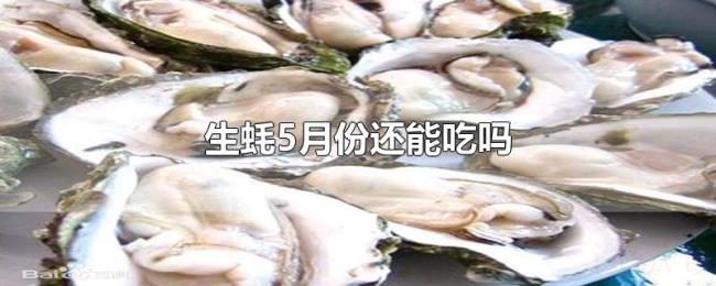 生蚝5月份还能吃吗 生蚝5月份还能吃吗