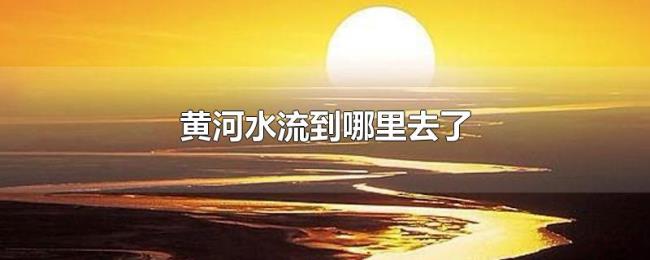 黄河水流到哪里去了