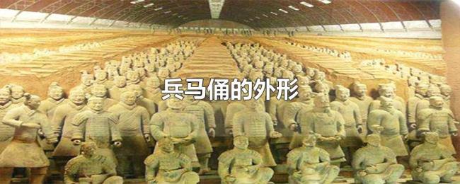 兵马俑的外形 兵马俑的外形