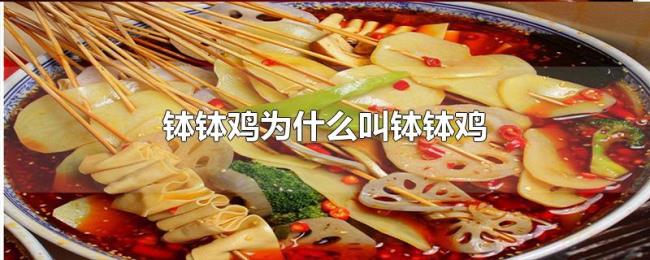 钵钵鸡为什么叫钵钵鸡 钵钵鸡为什么叫钵钵鸡