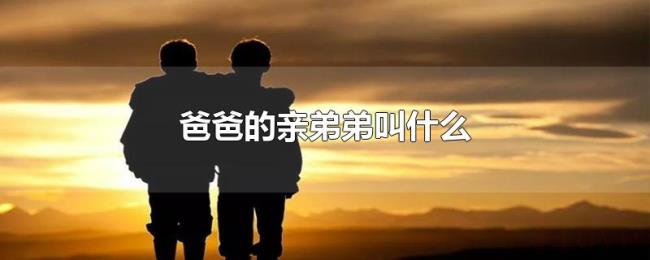 爸爸的亲弟弟叫什么 爸爸的亲弟弟叫什么