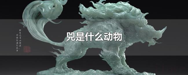 兕是什么动物 兕是什么动物