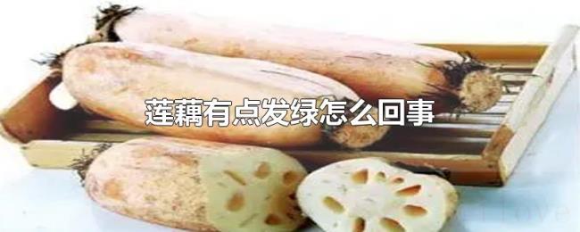 莲藕有点发绿怎么回事 莲藕有点发绿怎么回事