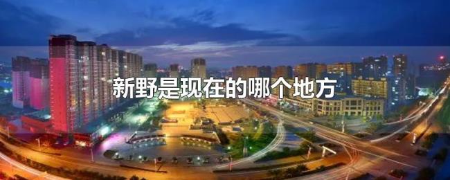 新野是现在的哪个地方 新野是现在的哪个地方