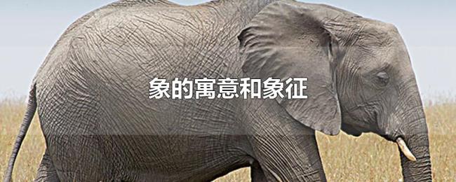象的寓意和象征