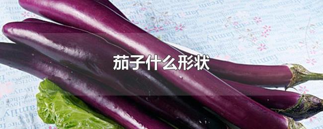 茄子什么形状 茄子什么形状