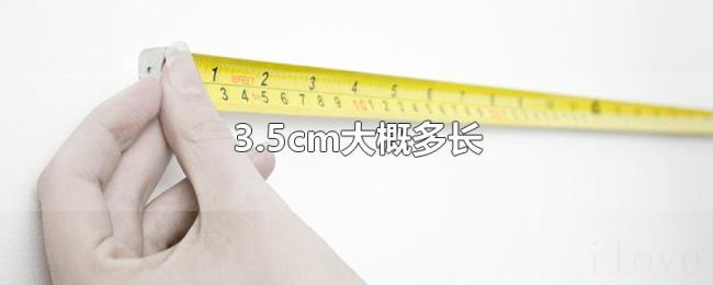 3.5cm大概多长