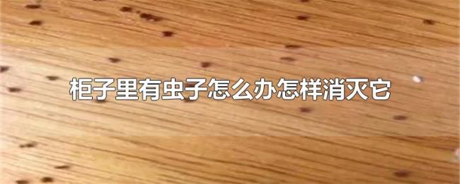 柜子里有虫子怎么办怎样消灭它