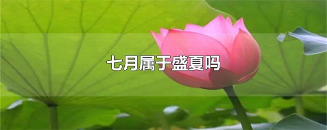 七月属于盛夏吗