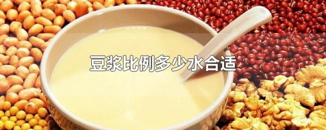 豆浆比例多少水合适 豆浆比例多少水合适