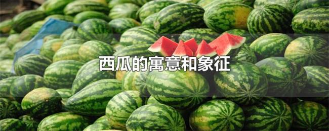 西瓜的寓意和象征