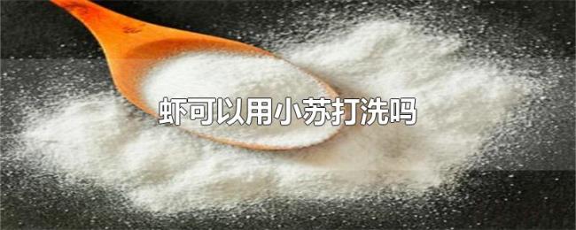 虾可以用小苏打洗吗 虾可以用小苏打洗吗