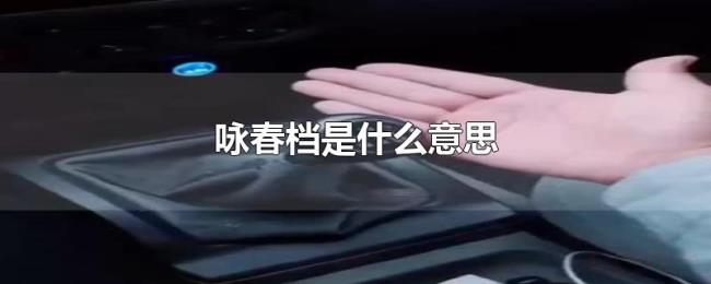 咏春档是什么意思 咏春档是什么意思