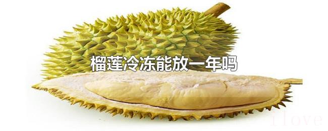 榴莲冷冻能放一年吗 榴莲冷冻能放一年吗