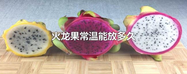 火龙果常温能放多久 火龙果常温能放多久