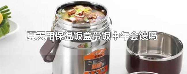夏天用保温饭盒带饭中午会馊吗