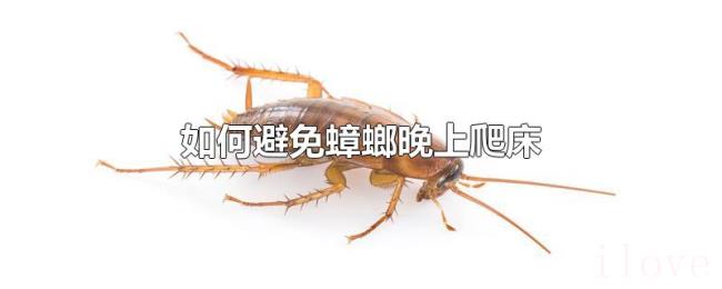 如何避免蟑螂晚上爬床