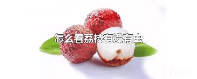 怎么看荔枝有没有虫