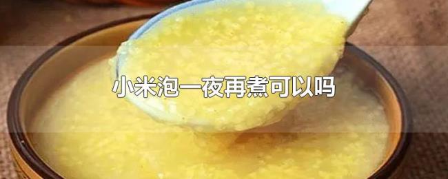 小米泡一夜再煮可以吗