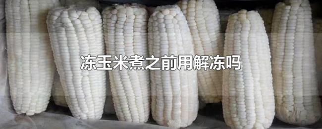 冻玉米煮之前用解冻吗 冻玉米煮之前用解冻吗