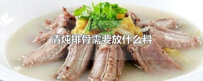 清炖排骨需要放什么料 清炖排骨需要放什么料