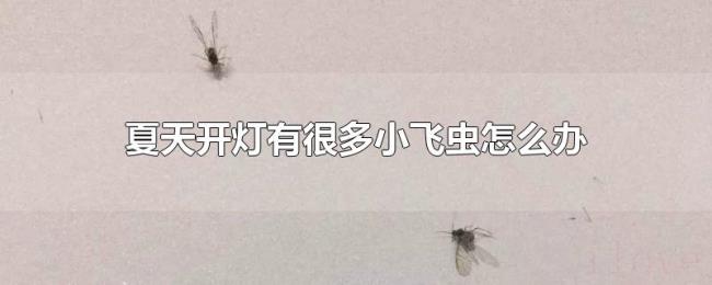 夏天开灯有很多小飞虫怎么办 夏天开灯有很多小飞虫怎么办