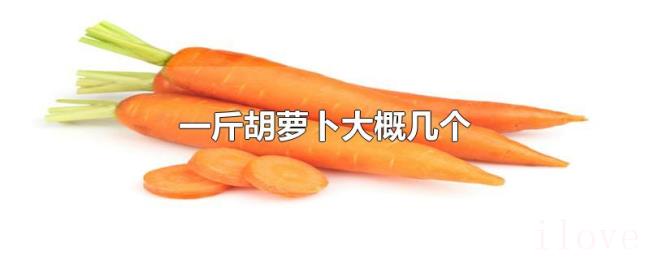 一斤胡萝卜大概几个
