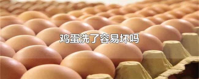 鸡蛋洗了容易坏吗