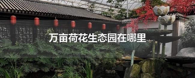 万亩荷花生态园在哪里 万亩荷花生态园在哪里
