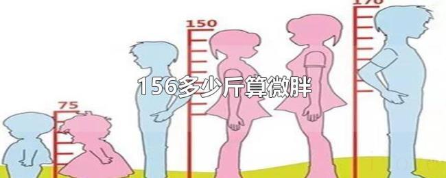 156多少斤算微胖 156多少斤算微胖