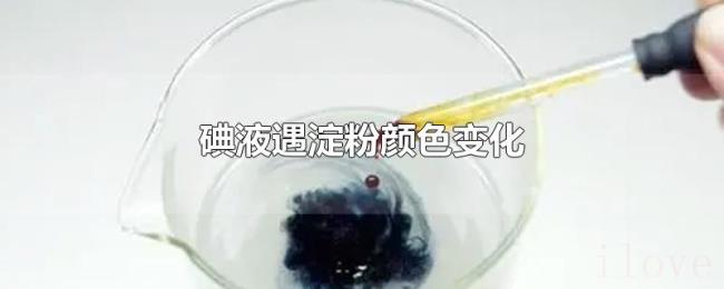 碘液遇淀粉颜色变化 碘液遇淀粉颜色变化
