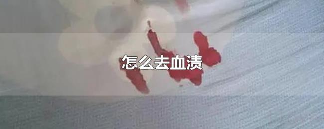 怎么去血渍 怎么去血渍