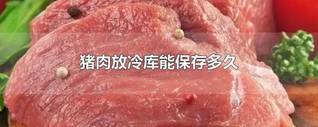 猪肉放冷库能保存多久 猪肉放冷库能保存多久